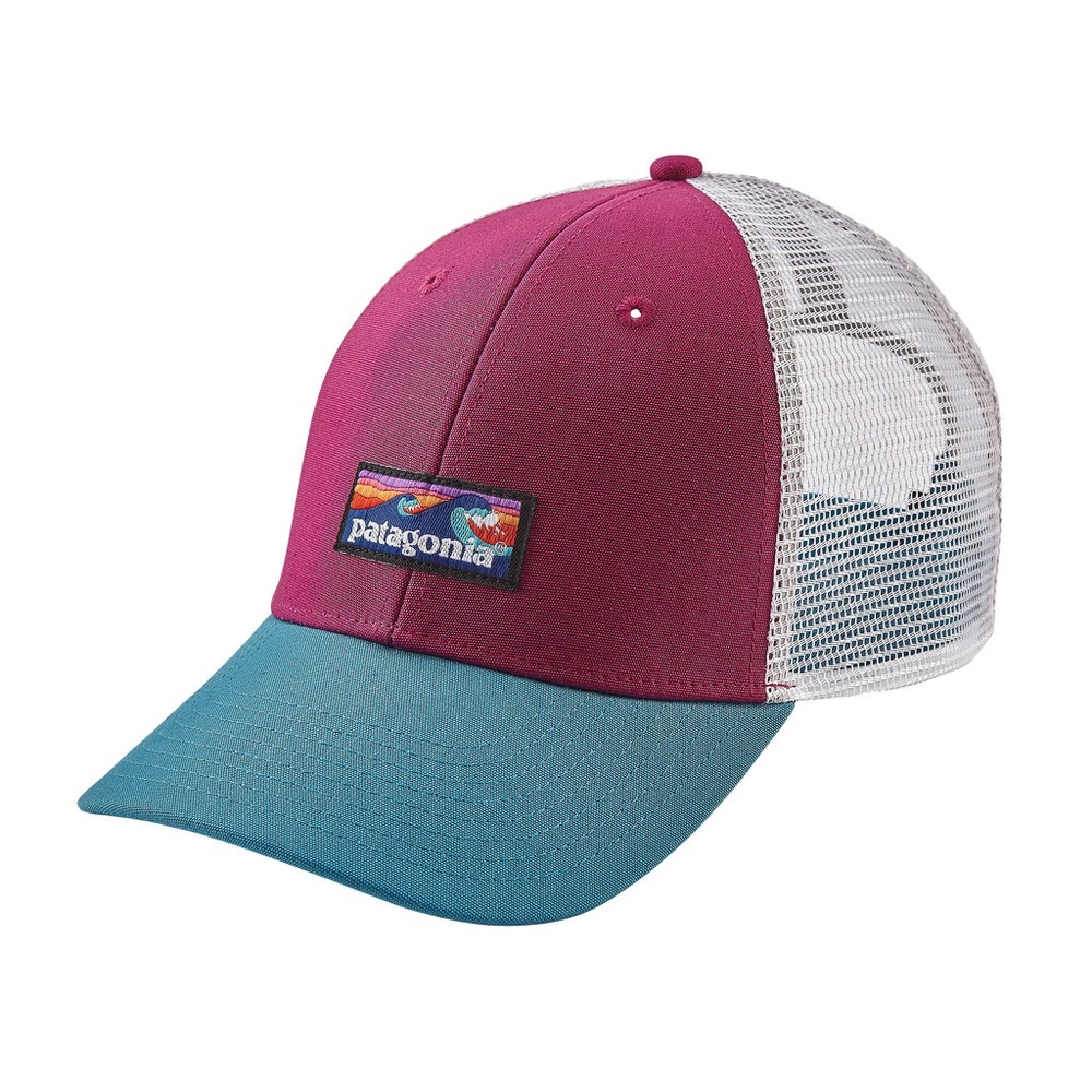 Patagonia trucker hat